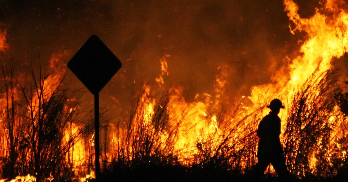Bushfire season basics: what you need to know