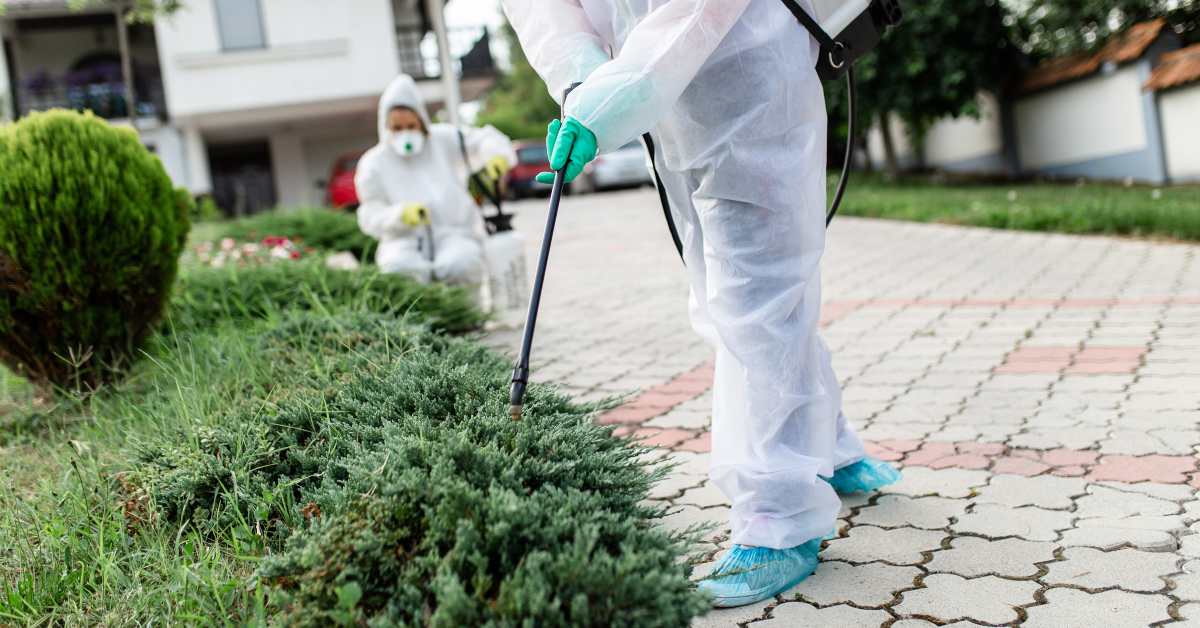 How To Keep Pests Away From The Yard – Pest Control Technician Advice
