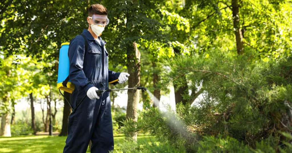 Pest control tech spraying outdoors 