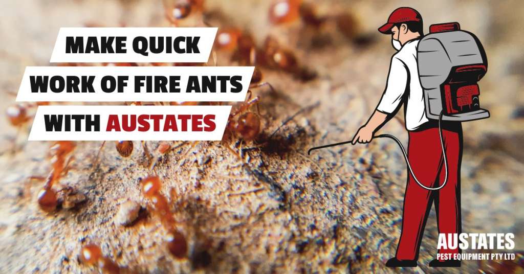 Stop fire ants graphic Austates