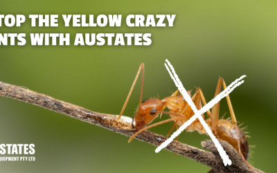 Managing Invasive Plants & Animals – Yellow Crazy Ant