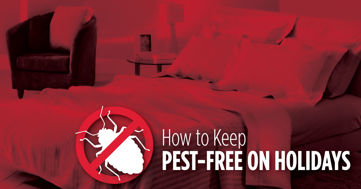 How to Keep Pest-Free on Holidays