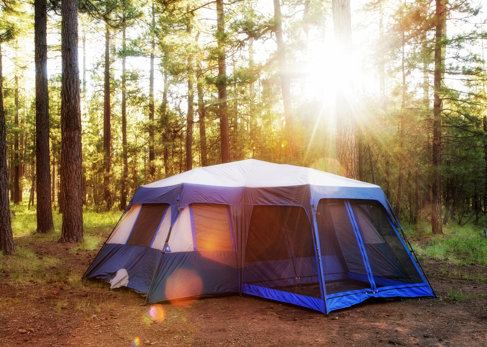 5 Intense Tents To Be In this Summer