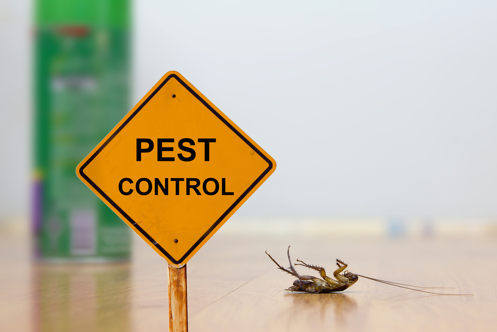 5 Things You’ll Need to Start a Pest Control Business