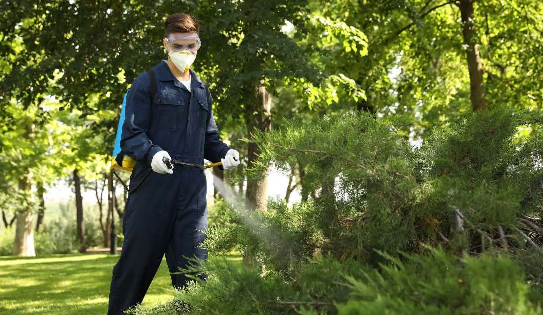 Find Out Now: The Average Pest Control Technician Salary for 2023