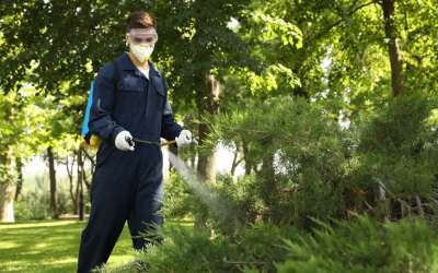 Find Out Now: The Average Pest Control Technician Salary for 2023